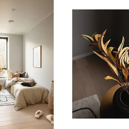 Pent House In Apartment *